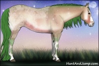 Horse Color:Watercolor Bay Ice Onyx 