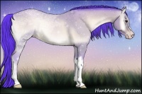 Horse Color:Watercolor Sable Champagne Ice Onyx 