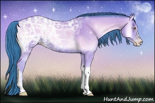 Horse Color:Watercolor Amber Champagne Ice Onyx 