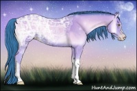 Horse Color:Watercolor Amber Champagne Ice Onyx