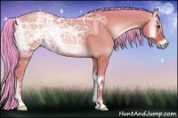 Horse Color:Watercolor Bay Ice Onyx 