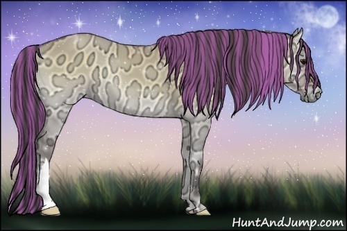 Horse Color:Painted Buckskin Ice Onyx 