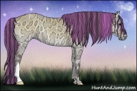 Horse Color:Painted Buckskin Ice Onyx 