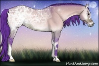 Horse Color:Watercolor Bay Ice Onyx 