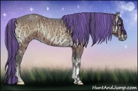 Horse Color:Painted Buckskin Ice Onyx 