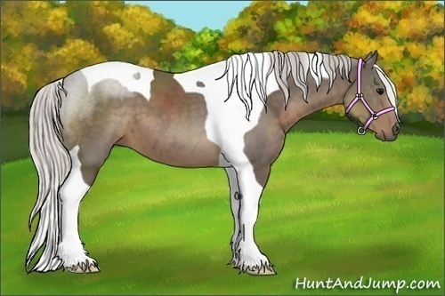 Horse Color:Silver Smoky Black Tobiano