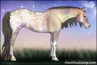 Horse Color:Nacre Classic Champagne Ice Onyx 