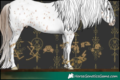 Horse Color:Bay Ice Tobiano Near Leopard