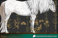 Horse Color:Bay Ice Tobiano Appaloosa 