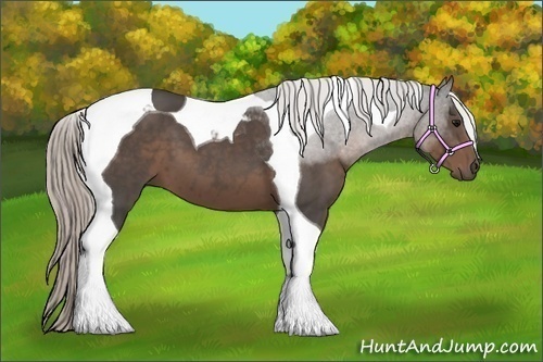 Horse Color:Silver Black Tobiano 