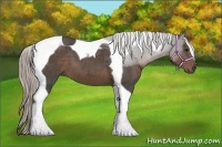 Horse Color:Silver Black Tobiano