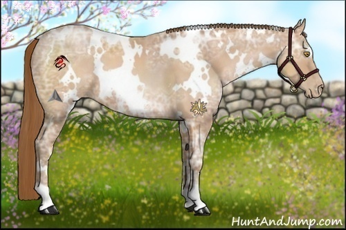 Horse Color:White Spotted Bay Ice Pearl 