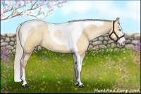 Horse Color:Silver Brown Pearl Dun Splash Tobiano Rabicano