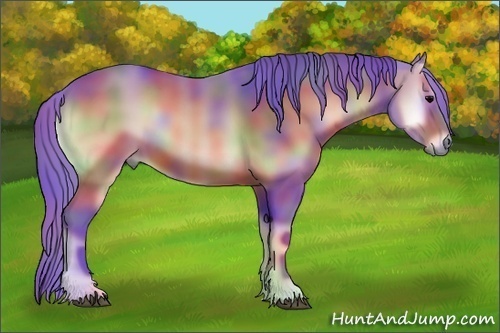 Horse Color:Nacre Watercolor Bay Onyx 