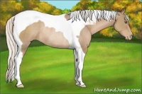 Horse Color:Silver Black Pearl Tobiano Rabicano 