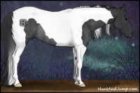 Horse Color:Black Tobiano Rabicano