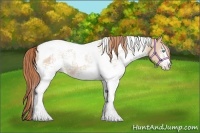 Horse Color:White Spotted Buckskin Pearl Tobiano