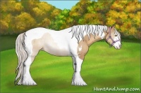 Horse Color:Silver Sable Champagne Sabino Tobiano