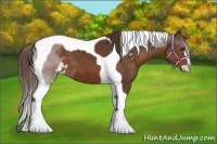Horse Color:Liver Chestnut Sabino Tobiano 