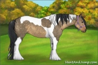 Horse Color:Buckskin Dun Tobiano