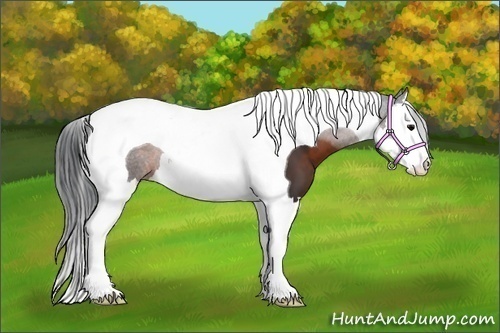 Horse Color:Brown Splash Tobiano 