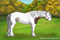 Horse Color:Brown Splash Tobiano 