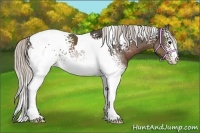 Horse Color:White Spotted Silver Black Tobiano 