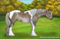 Horse Color:Silver Smoky Black Tobiano