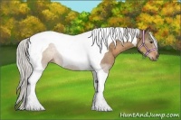 Horse Color:Silver Buckskin Tobiano 