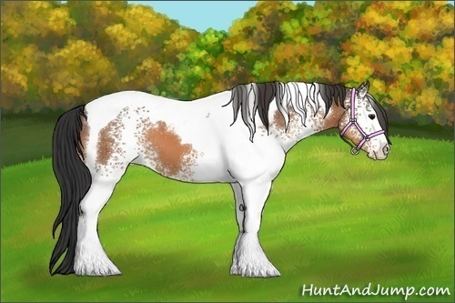 Horse Color:White Spotted Buckskin Tobiano 