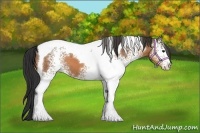Horse Color:White Spotted Buckskin Tobiano