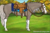 Horse Color:Silver Grullo Sabino Splash Rabicano 