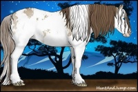 Horse Color:White Spotted Liver Red Dun Splash 