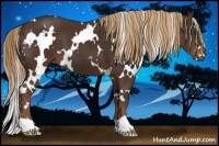 Horse Color:White Spotted Liver Chestnut 