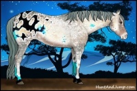 Horse Color:Watercolor Red Onyx Ice Appaloosa 
