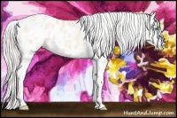 Horse Color:Silver Buckskin Ice Pearl Splash Appaloosa 