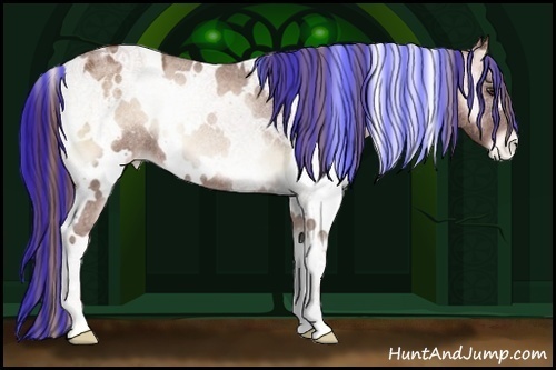 Horse Color:Painted White Spotted Red Onyx Varnish Rabicano 