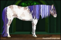 Horse Color:Painted White Spotted Red Onyx Varnish Rabicano