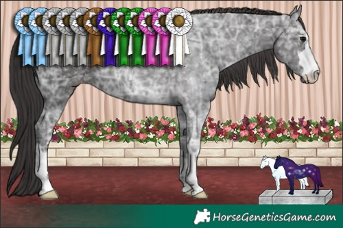 Horse Color:Smoky Black Ice 