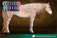 Horse Color:Chestnut Ice Sabino 