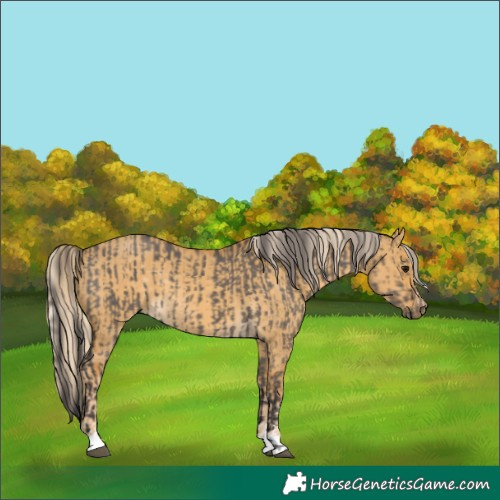 Horse Color:Smoky Grullo  and Palomino Dun 
