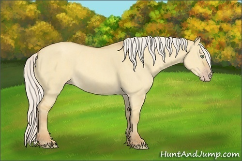 Horse Color:Silver Amber Cream Champagne Dun Rabicano  and Silver Classic Cream Champagne Dun Sabino Rabicano 