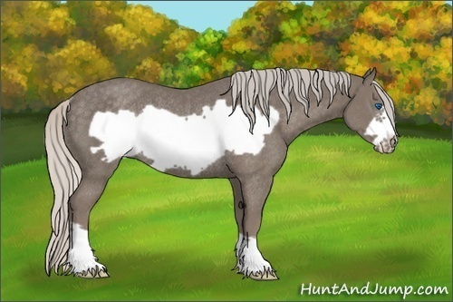 Horse Color:Silver Smoky Black Frame Rabicano 