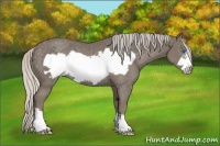 Horse Color:Silver Smoky Black Frame Rabicano