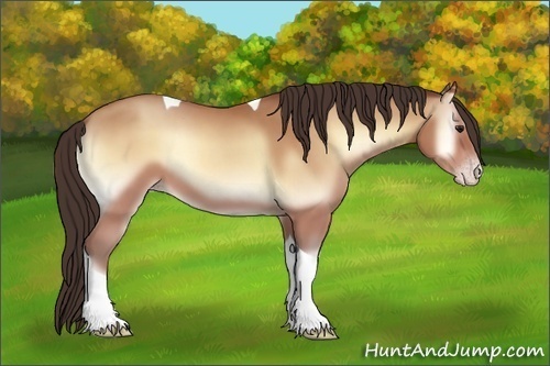 Horse Color:Amber Champagne Onyx Tobiano 