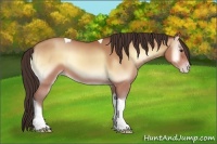 Horse Color:Amber Champagne Onyx Tobiano 