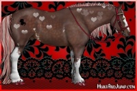 Horse Color:Painted White Spotted Chocolate Silver Brown
