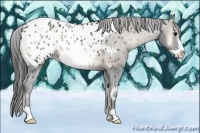 Horse Color:Blue Onyx Frame Appaloosa 
