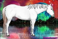 Horse Color:Bay Near Leopard 