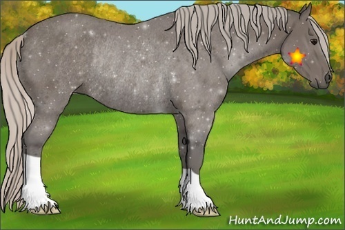 Horse Color:Silver Black Rabicano